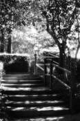 The_way_to_heaven