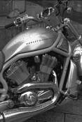 Harley_davidson_in_the_rain