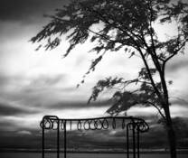 Beyond_the_playground
