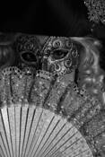 The_fan