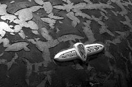 Cars_005