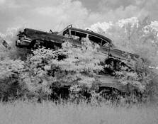 Cars_007