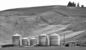 Five_silos