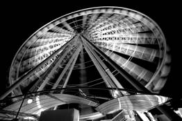 Brisbane_eye
