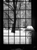 Looking_out_from_awanee