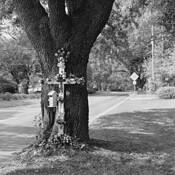 58th_and_abercorn_streets