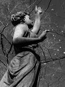 Memoriam_11