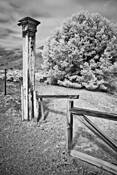 Infrared_cemetery_no_2
