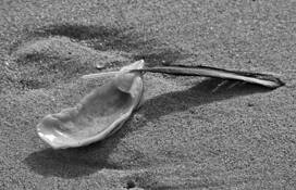 Remnants
