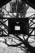 Kentucky_horse_farm