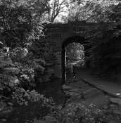 Untitled_1