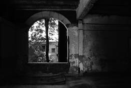 Where_have_allthe_children_gone_4