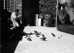 Man_feeding_pigeons