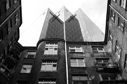 Untitled_1
