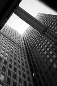 View_from_below