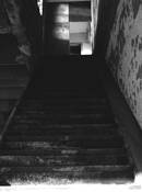 Untitled_1