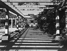 Graham_center