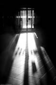 Sunburst_through_revolving_door