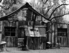 Old_miners_camp