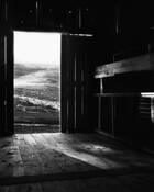 Pierce_point_ranch