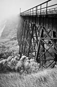 Infrared_through_the_fog