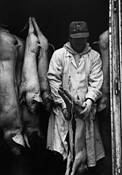 Meat_delivery