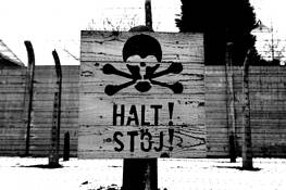 Halt