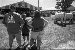 Fair_8