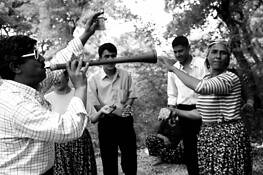 The_roma_festival