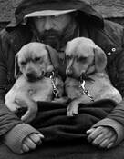 Man_with_puppies