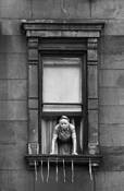Pigeon_chaser