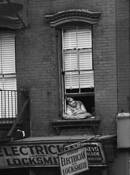 Eletrician_sign