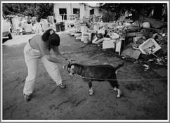 Cindy_and_the_goat