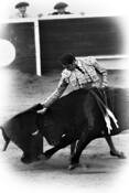 Enrique_ponce