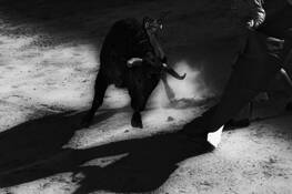 Sand_and_dust