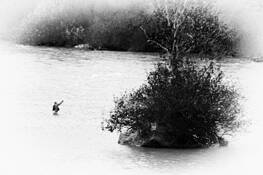 Fisherman_2