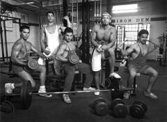 Body_builders