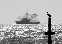 Rather_be_fishin