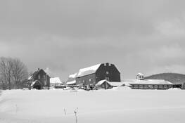Vermont_homestead