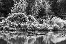 Kenilworth_march