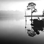 The_rivers_edge__1