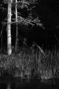 The_rivers_edge__2