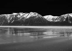 Disenchantment_bay