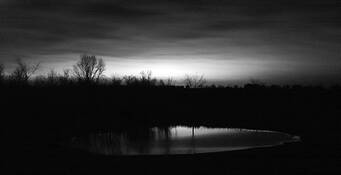 Pond