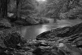 Central_park_rain