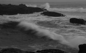 Overleaf_surf