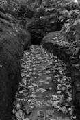 Rock_road_2