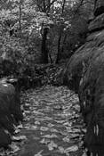 Rock_road