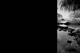 Reflection