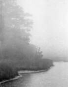 Bayou_2